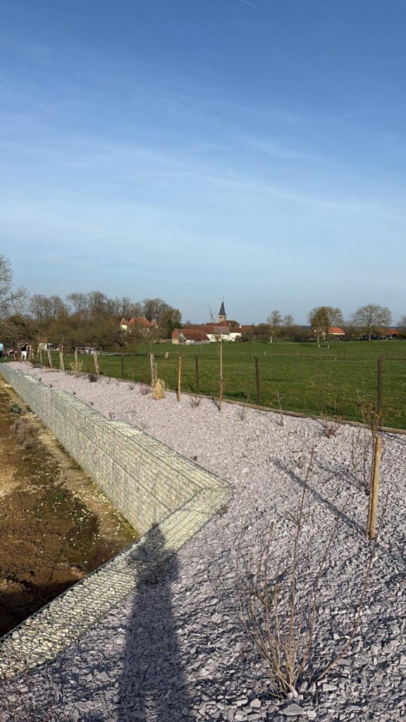 Mur de soutènement en gabion et plantation paysagère
