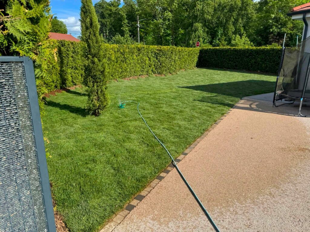 Pose de gazon en rouleaux dans un jardin arboré