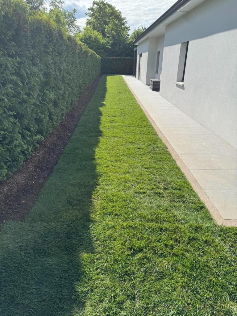 Pose de gazon en rouleaux le long d’une maison